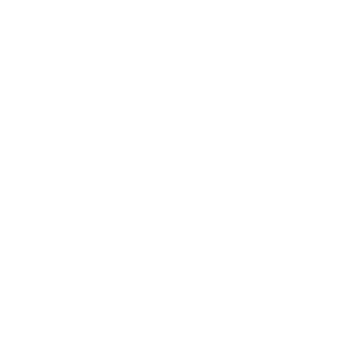 Fiat Professionell